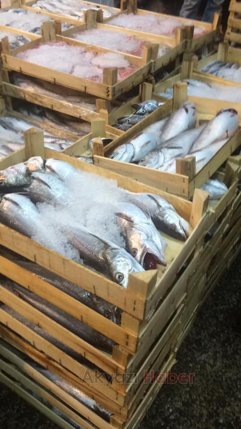 En Taze Balıklar Balıkçı Hüseyinde Sizleri Bekliyor