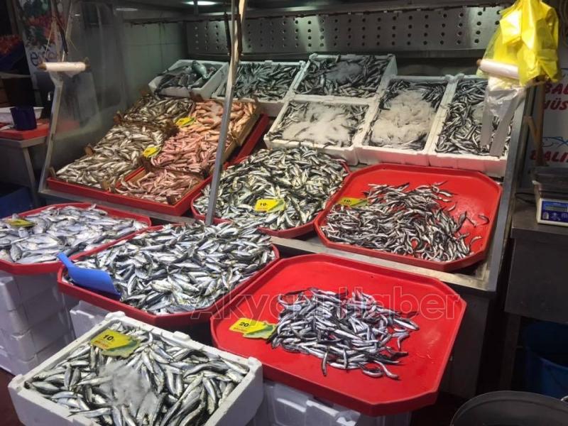 En Taze Balıklar Balıkçı Hüseyinde Sizleri Bekliyor