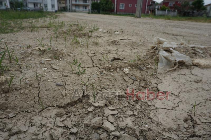 Engelli Halilin yol çilesi