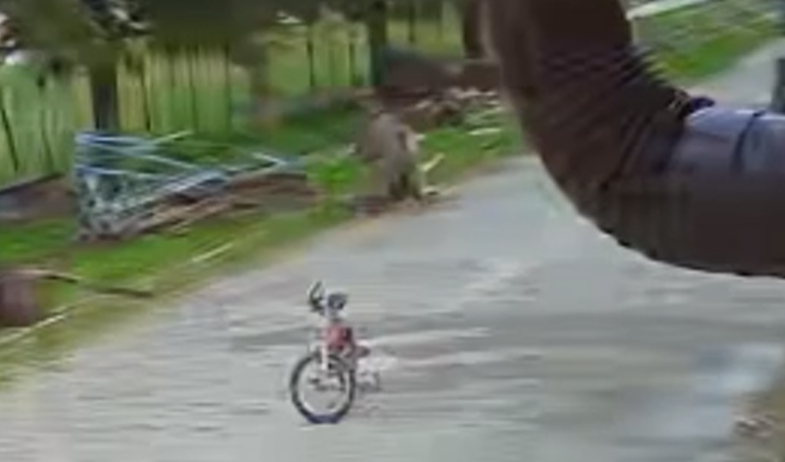 Eşek çocuğa saldırıp ağır yaraladı