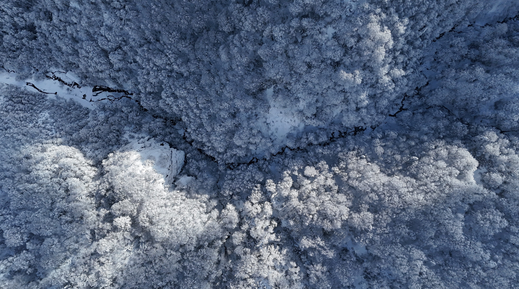 Eşsiz manzara mest etti