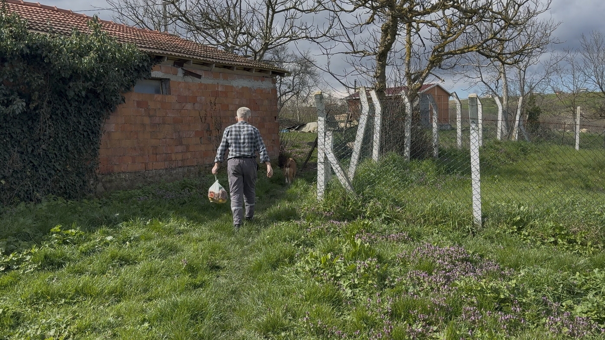 Ev var yol yok: 10 yıldır tarladan yürüyor