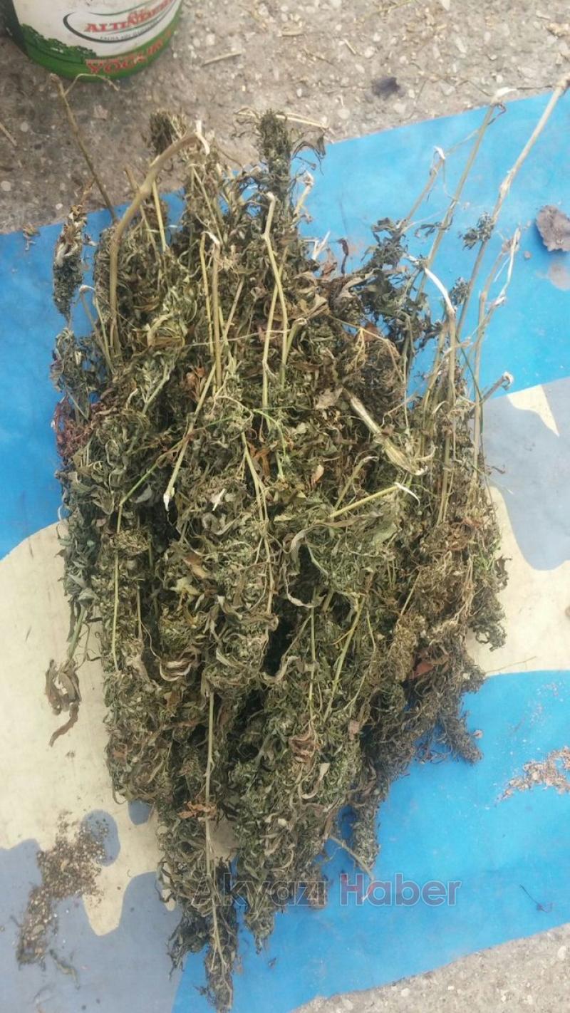 Eve baskın yapan jandarma 5 kilo esrar buldu