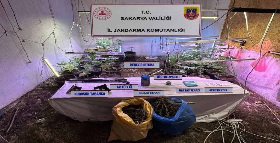 Evine iklimlendirme sistemi kurup kenevir yetiştirmiş