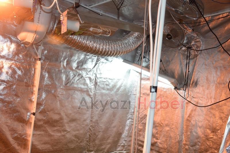 Evini uyuşturucu tarlasına çevirmiş 