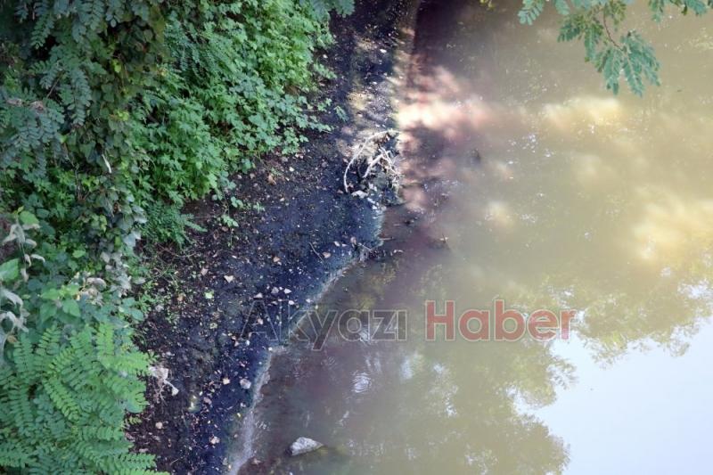 Fabrika Atıkları Dereyi Öldürdü, Vatandaşlar İsyanda Artık Canlı Yaşamıyor