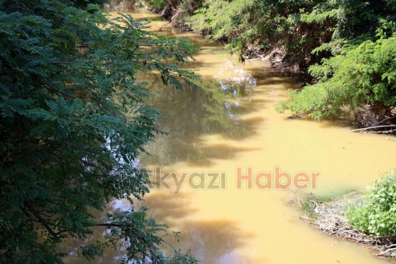 Fabrika Atıkları Dereyi Öldürdü, Vatandaşlar İsyanda Artık Canlı Yaşamıyor