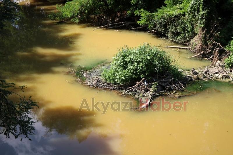Fabrika Atıkları Dereyi Öldürdü, Vatandaşlar İsyanda Artık Canlı Yaşamıyor