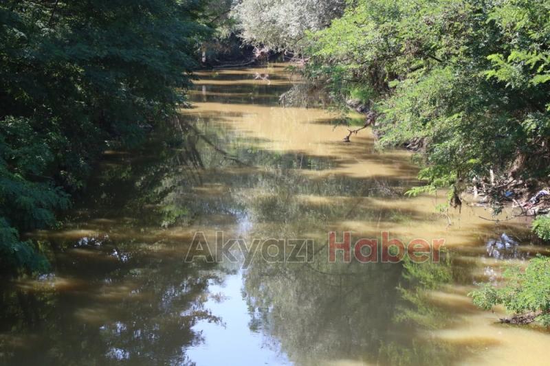 Fabrika Atıkları Dereyi Öldürdü, Vatandaşlar İsyanda Artık Canlı Yaşamıyor