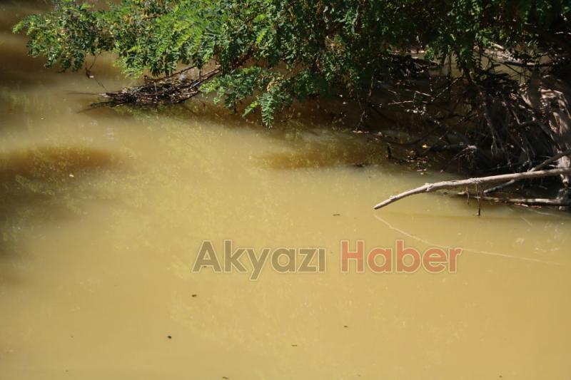 Fabrika Atıkları Dereyi Öldürdü, Vatandaşlar İsyanda Artık Canlı Yaşamıyor