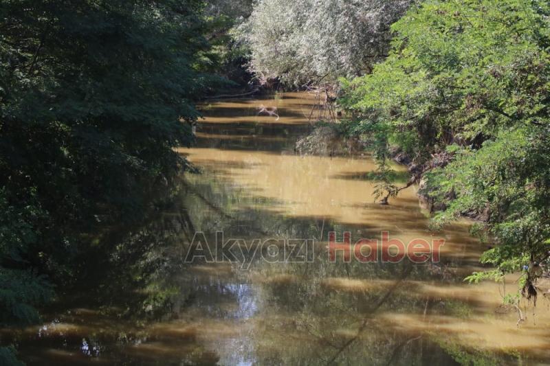 Fabrika Atıkları Dereyi Öldürdü, Vatandaşlar İsyanda Artık Canlı Yaşamıyor
