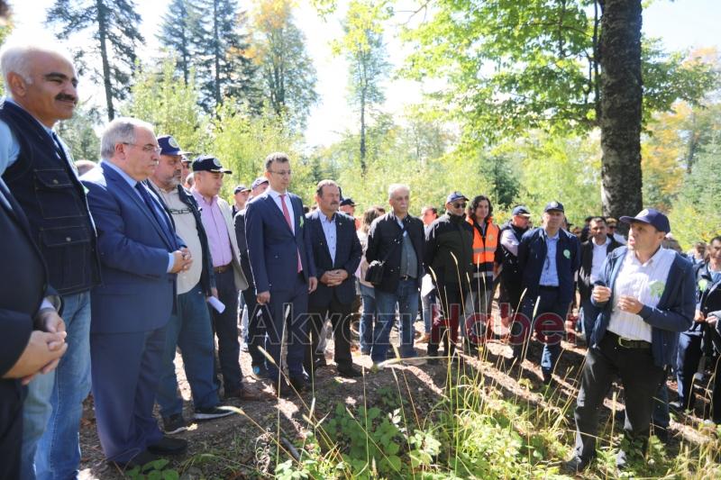 Farklı Ülkelerden Ormancılar Akyazı’daki Gençlik Şöleninde Buluştu