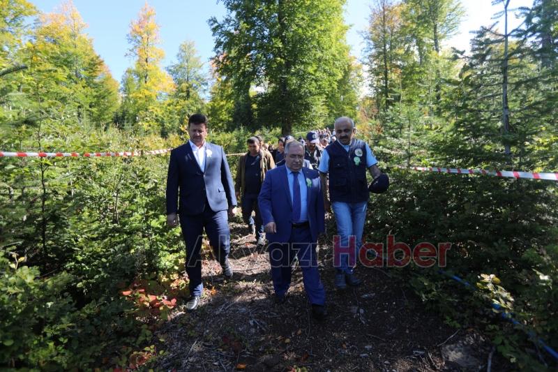 Farklı Ülkelerden Ormancılar Akyazı’daki Gençlik Şöleninde Buluştu