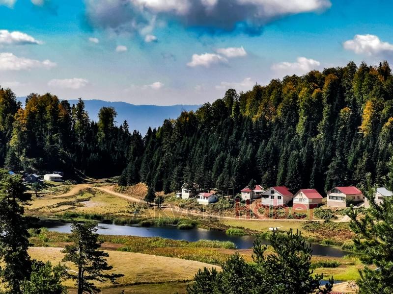 Farklı Ülkelerden Ormancılar Akyazı’daki Gençlik Şöleninde Buluştu
