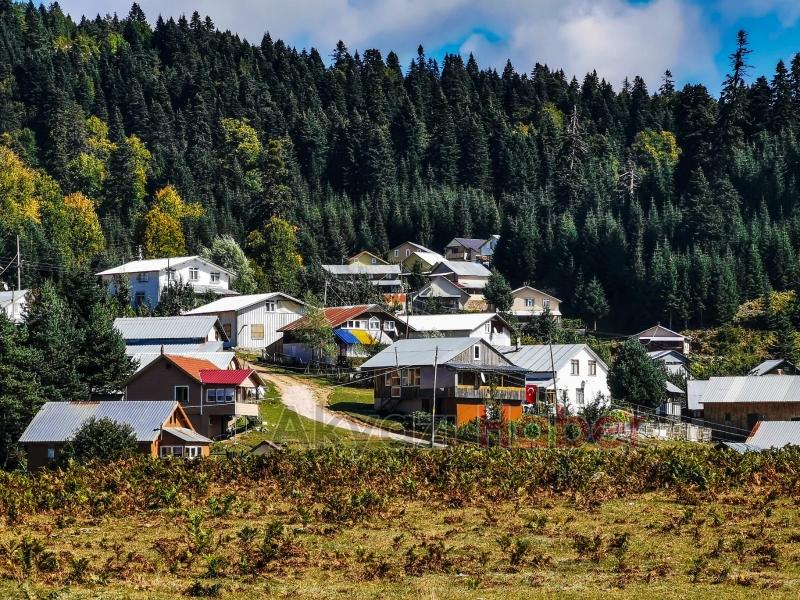 Farklı Ülkelerden Ormancılar Akyazı’daki Gençlik Şöleninde Buluştu