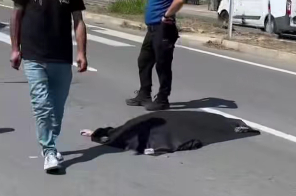 Feci kaza anne ile kızını ayırdı