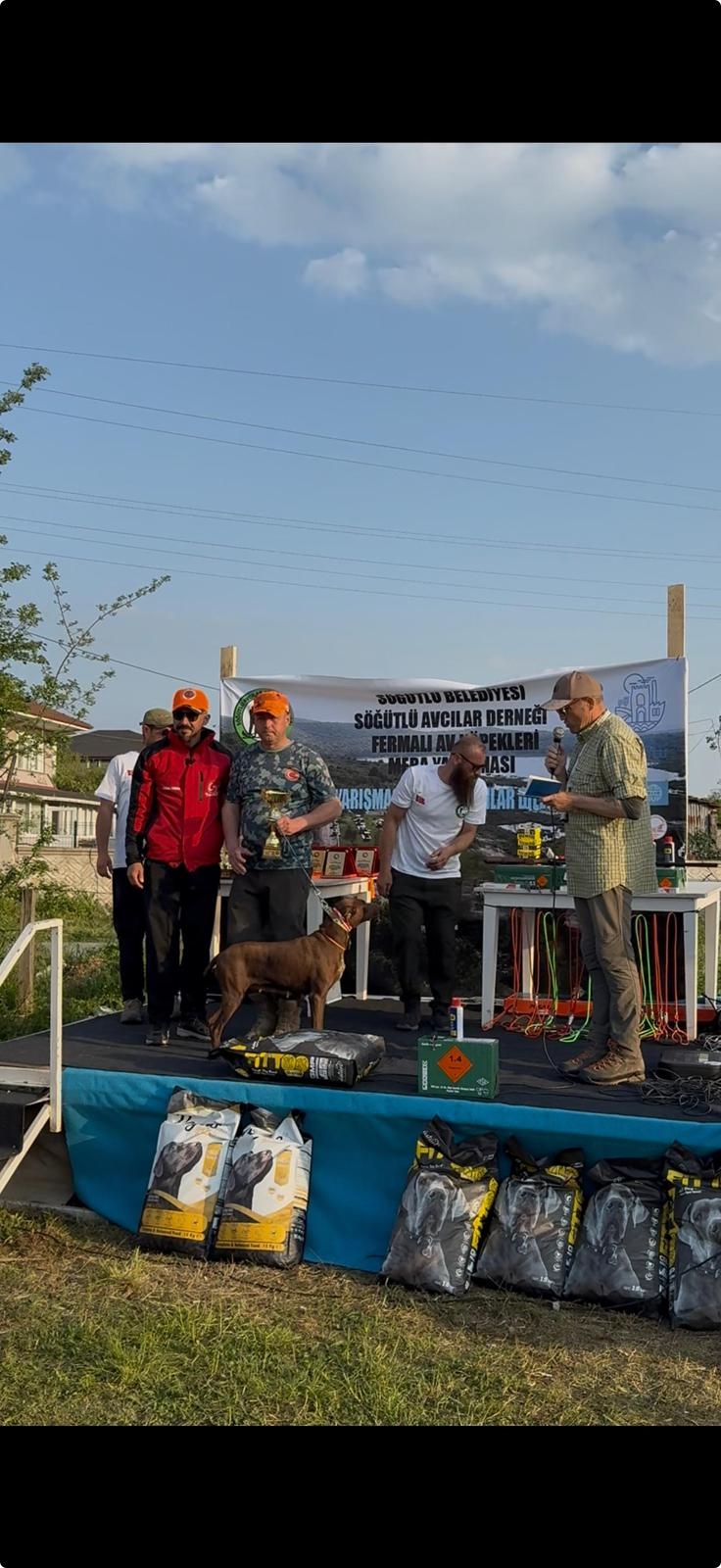 Fermalı Av Köpekleri Yarışması'nda Akyazılı avcılardan şampiyonluk