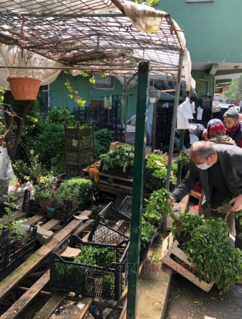 Fide Satışları Arttı 