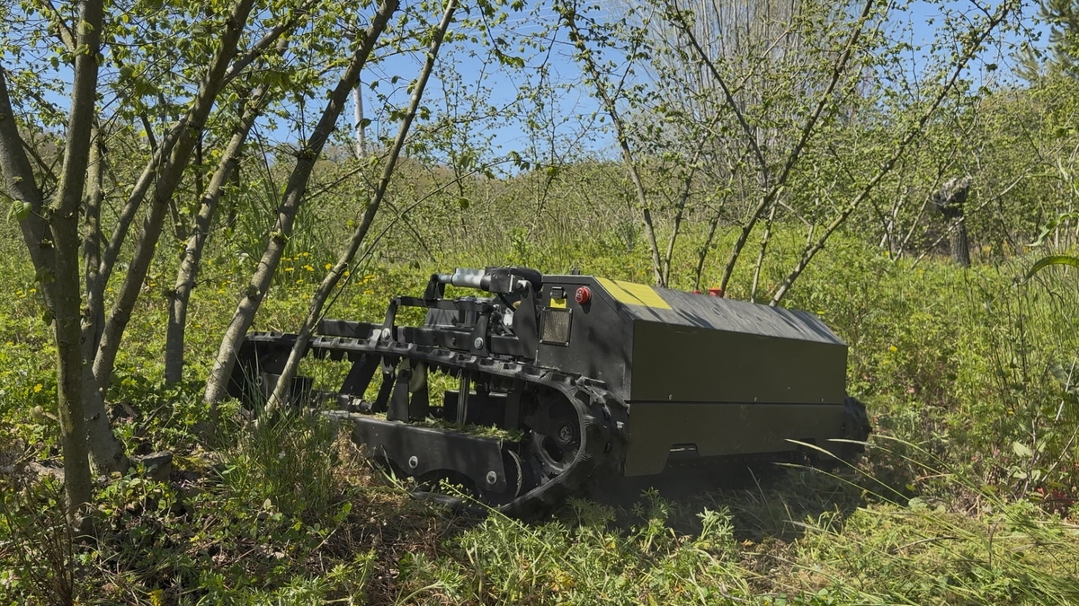 Fındıkçılar bu haber sizin için 2 kişinin bir günde yaptığı işi 3 saatte bitiriyor