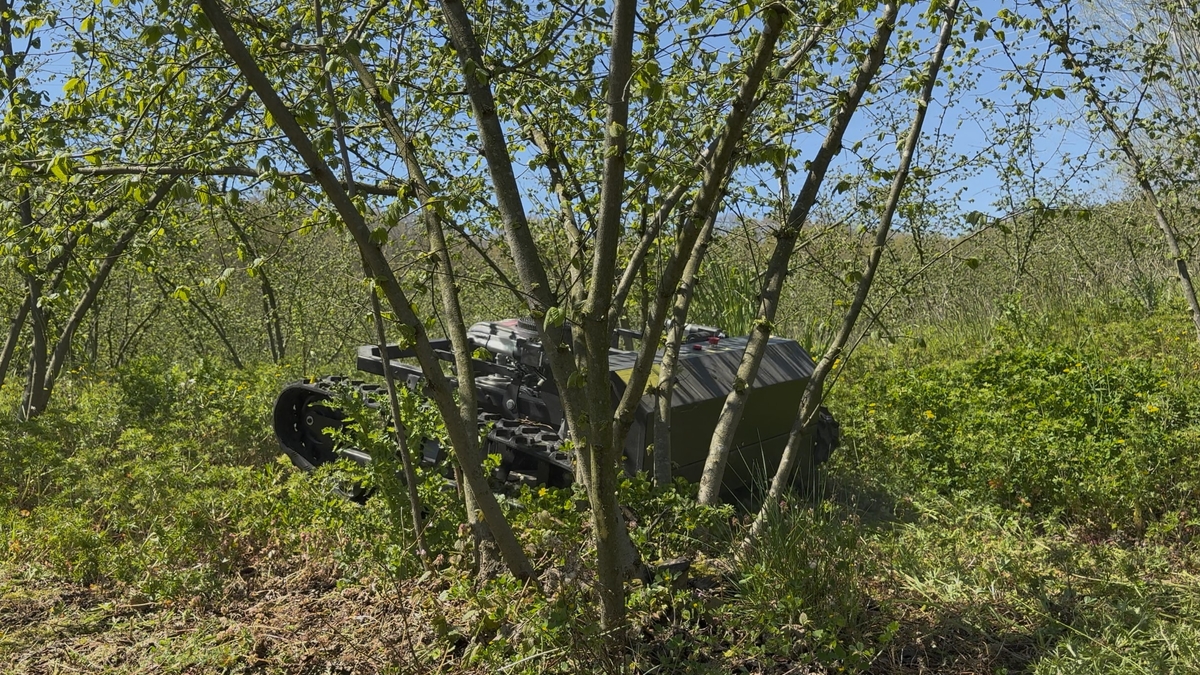 Fındıkçılar bu haber sizin için 2 kişinin bir günde yaptığı işi 3 saatte bitiriyor