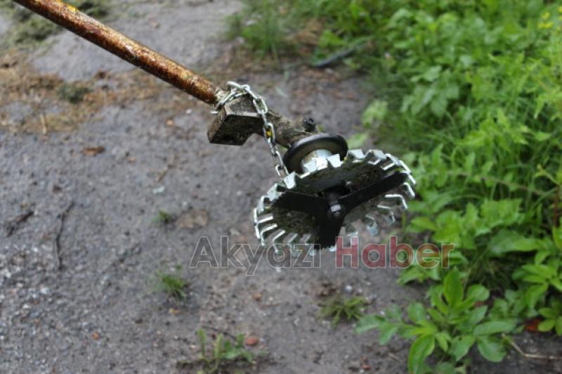 Fındıkçılar Müjde 