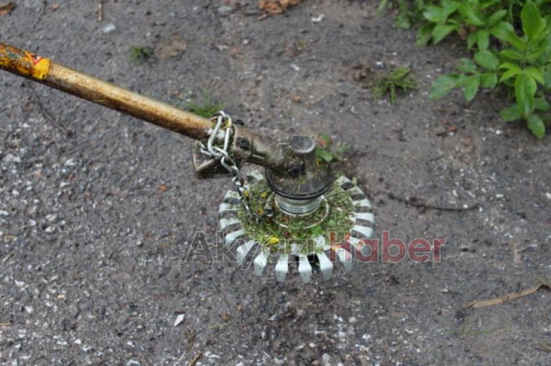 Fındıkçılar Müjde 