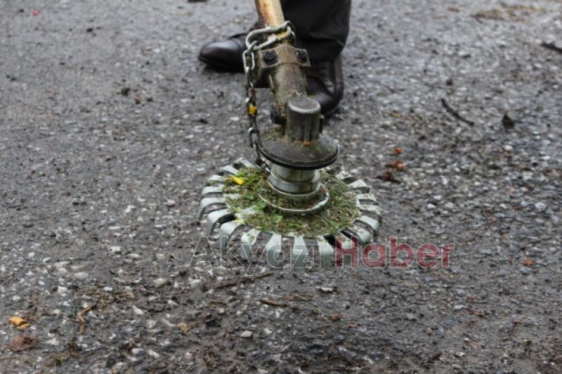 Fındıkçılar Müjde 