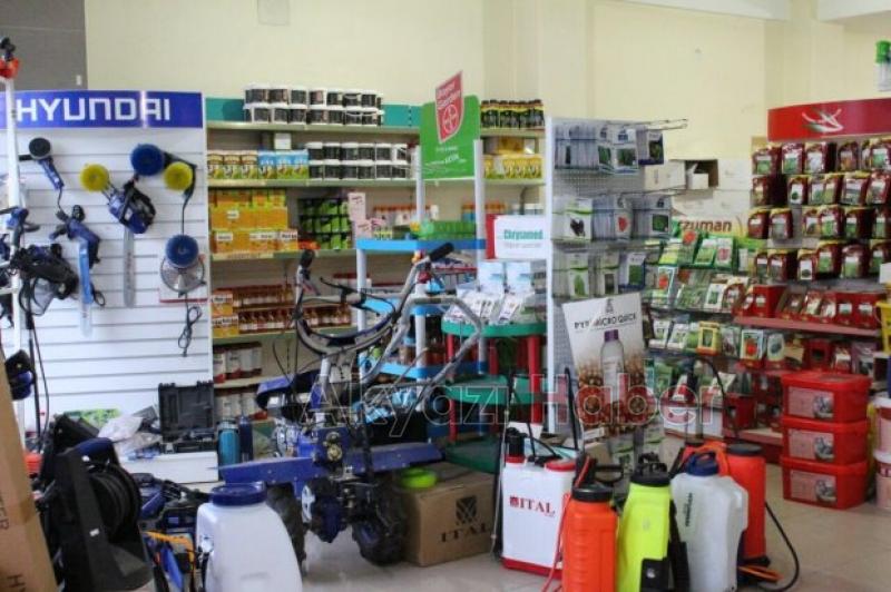 Fındıkçılar Müjde 