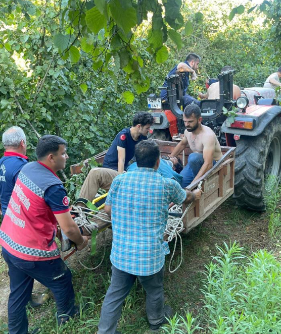 Fındıklıkta dere yatağına yuvarlandı, ekipler seferber oldu