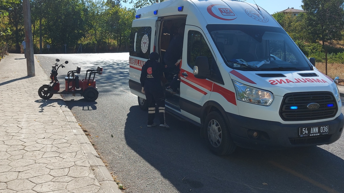 Freni tutmayıp devrildi: 2 yaralı