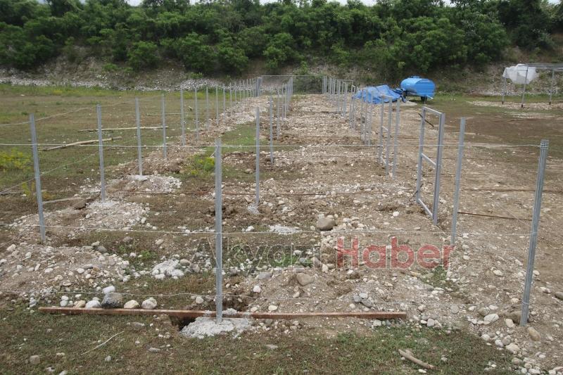 Geçici Hayvan Pazarı Çalışmaları Bitmek Üzere