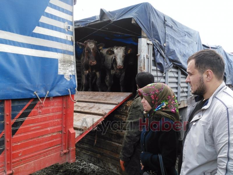 GENÇ ÇİFTÇİLERE HİBE HAYVAN DAĞITIMI YAPILDI 