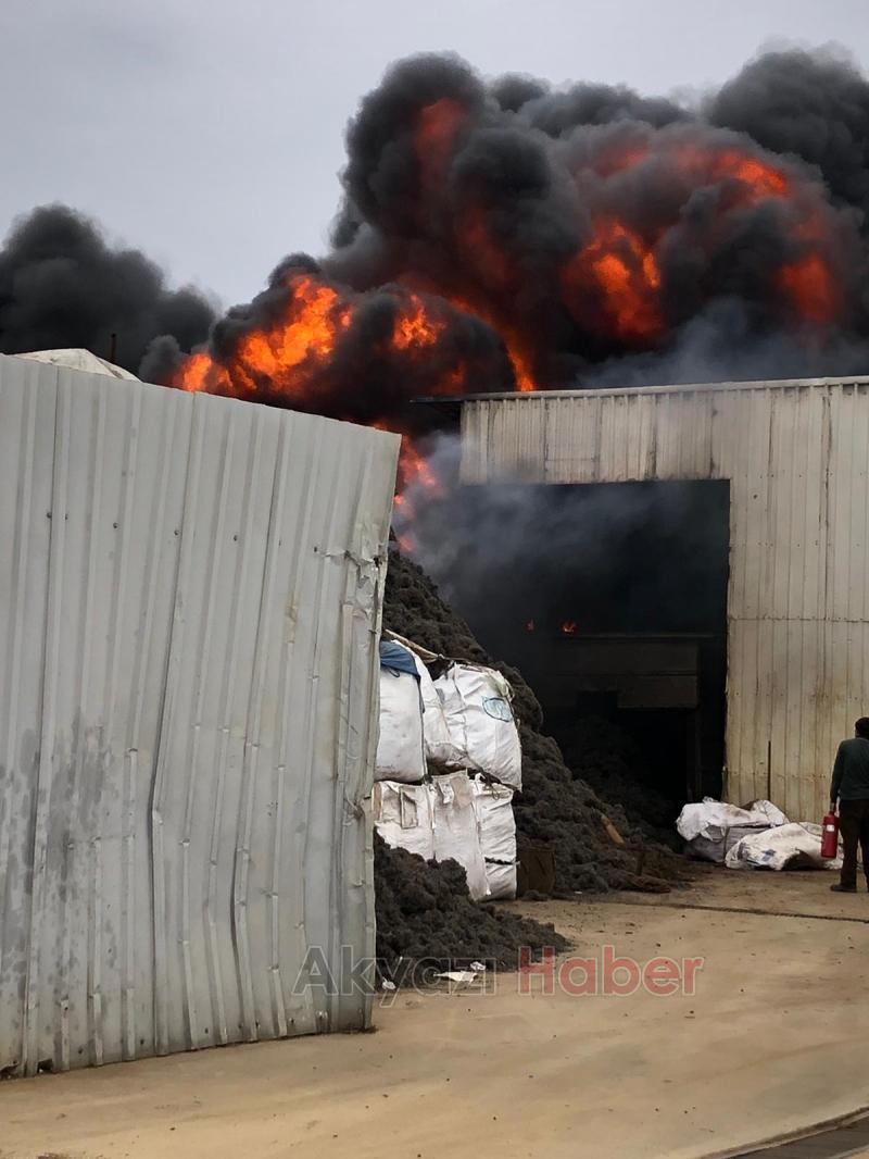 Geri Dönüşüm Tesisinde Yangın
