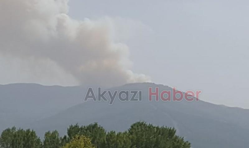 Geyve'de büyük orman yangını