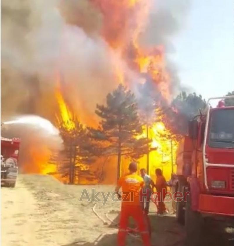 Geyve'de büyük orman yangını