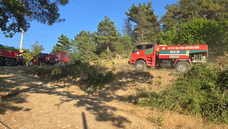Geyve'de orman yangını