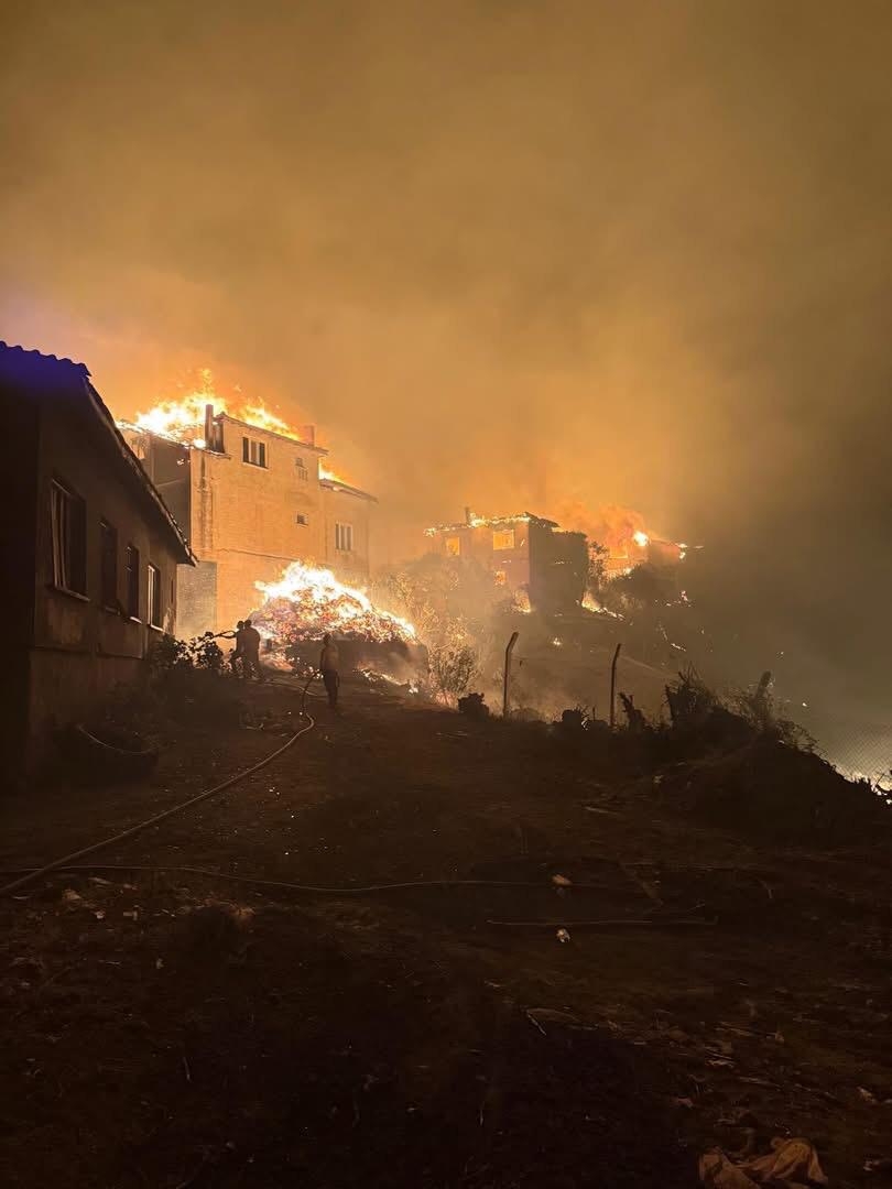 Geyve'deki orman yangını köye sıçradı