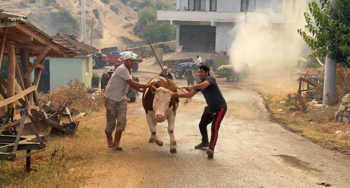 Geyve'deki yangında bir mahalle boşaltılıyor