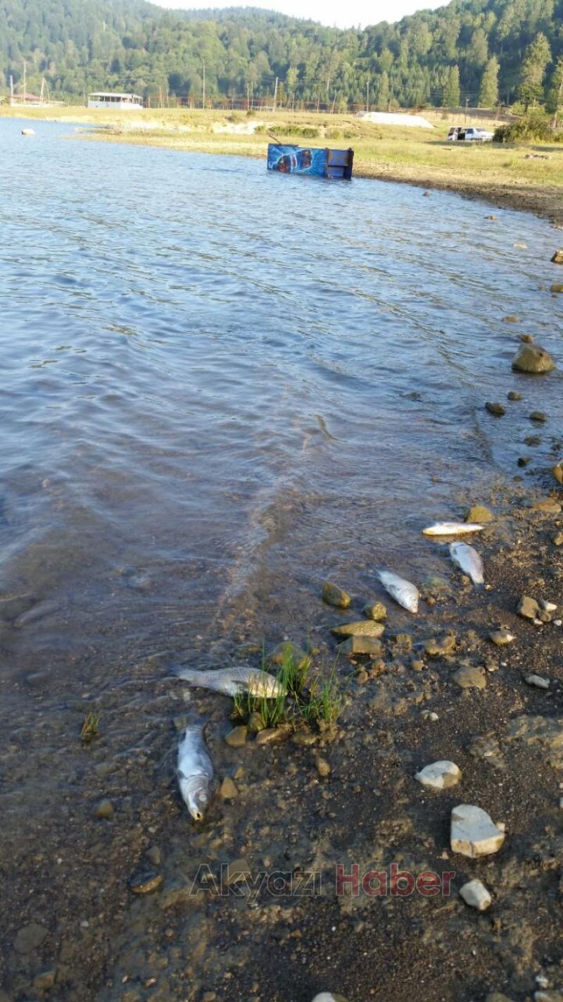 Göletlerimizde Neler Oluyor