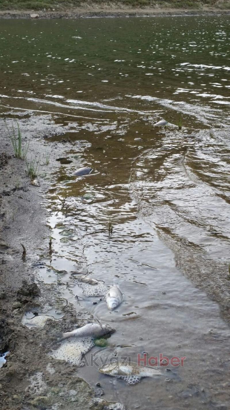 Göletlerimizde Neler Oluyor