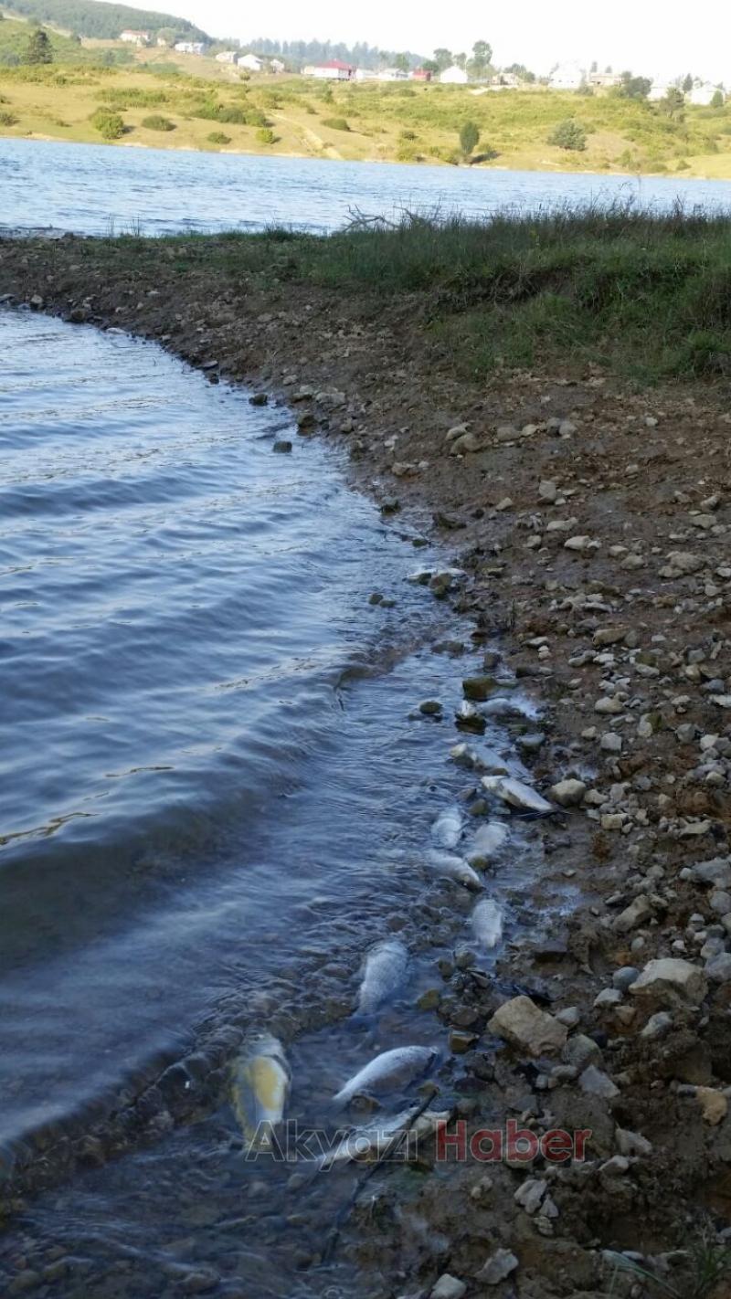 Göletlerimizde Neler Oluyor