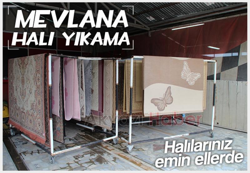 Halı Yıkamada Profesyonel Çözümler Mevlana Halı Yıkamada