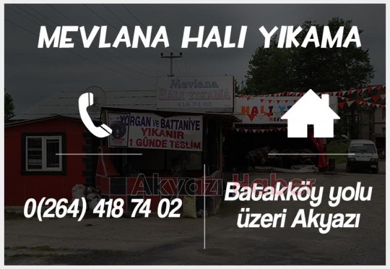 Halı Yıkamada Profesyonel Çözümler Mevlana Halı Yıkamada