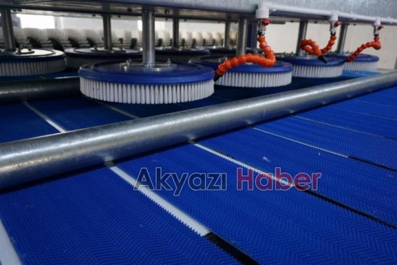 Halı yıkatmak hiç bu kadar ekonomik ve ucuz olmamıştı