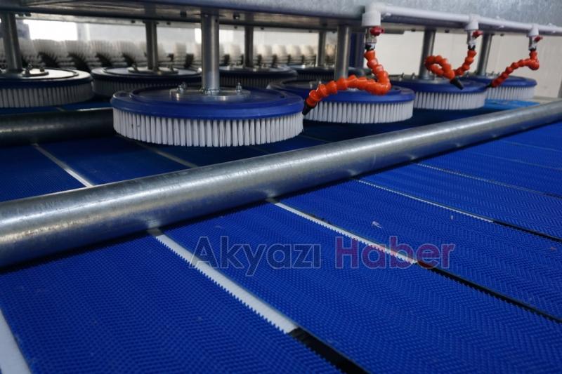 Halı Yıkatmak Hiç Bu Kadar Ucuz Olmamıştı