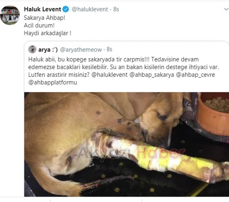 Haluk Levent Sakaryadan yapılan çağrıya duyarsız kalmadı