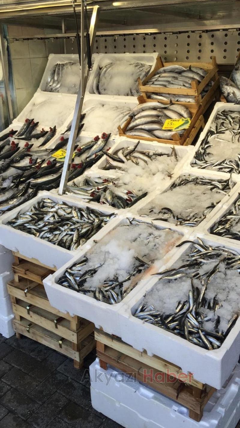 Hamsi 8 TL Palamut Tane 5 TL