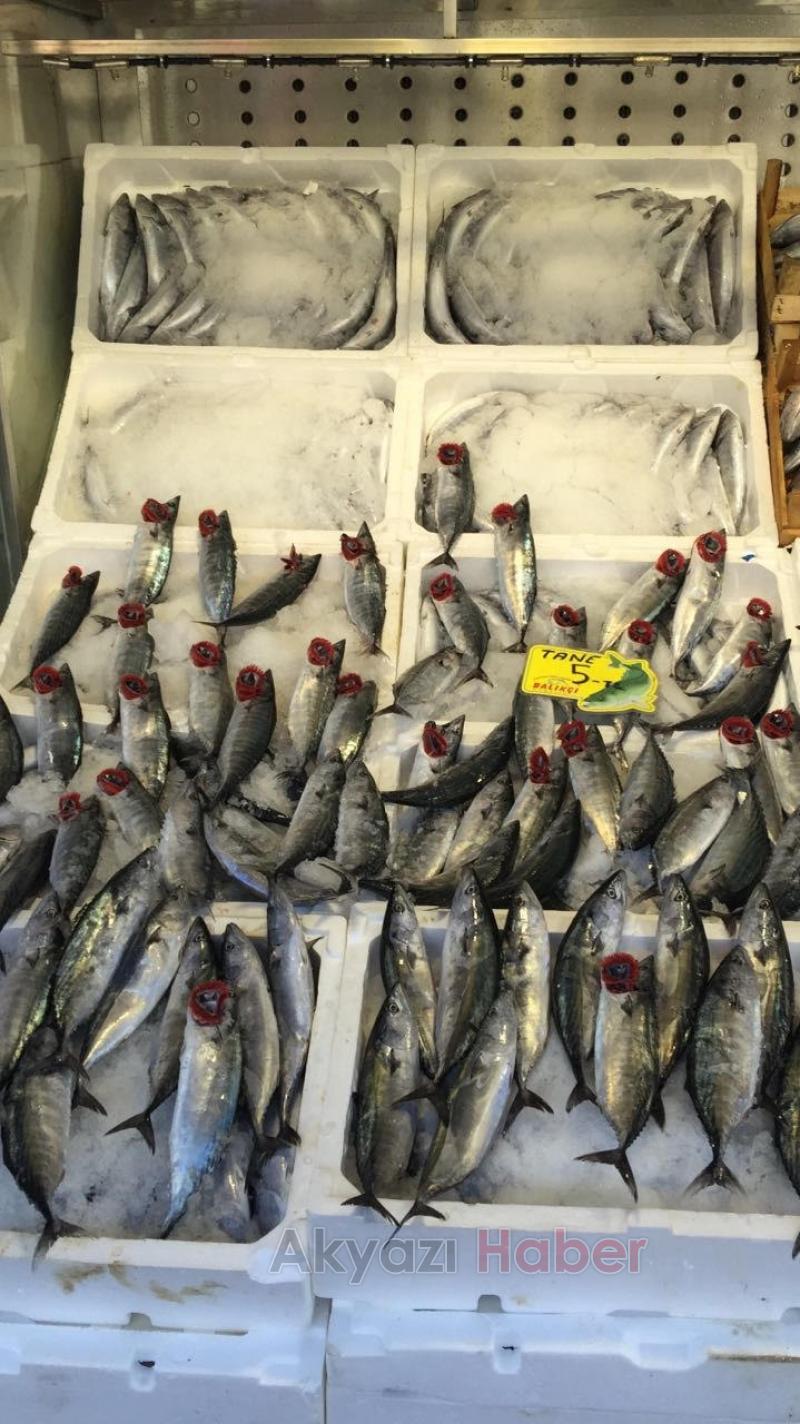 Hamsi 8 TL Palamut Tane 5 TL