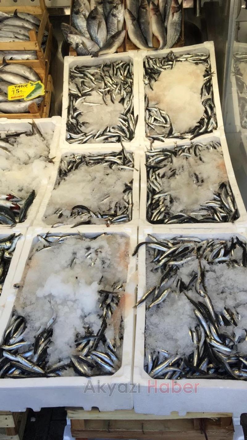 Hamsi 8 TL Palamut Tane 5 TL