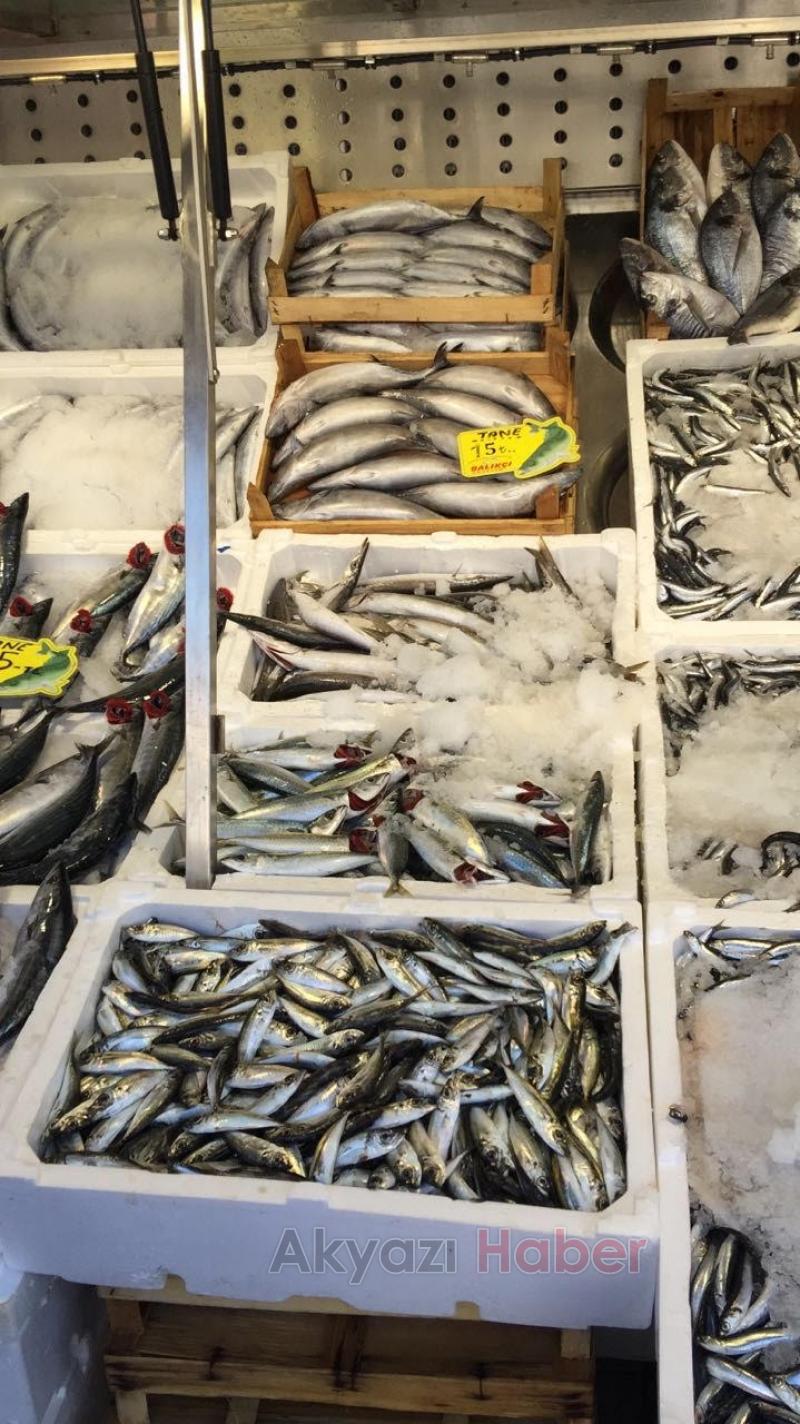 Hamsi 8 TL Palamut Tane 5 TL